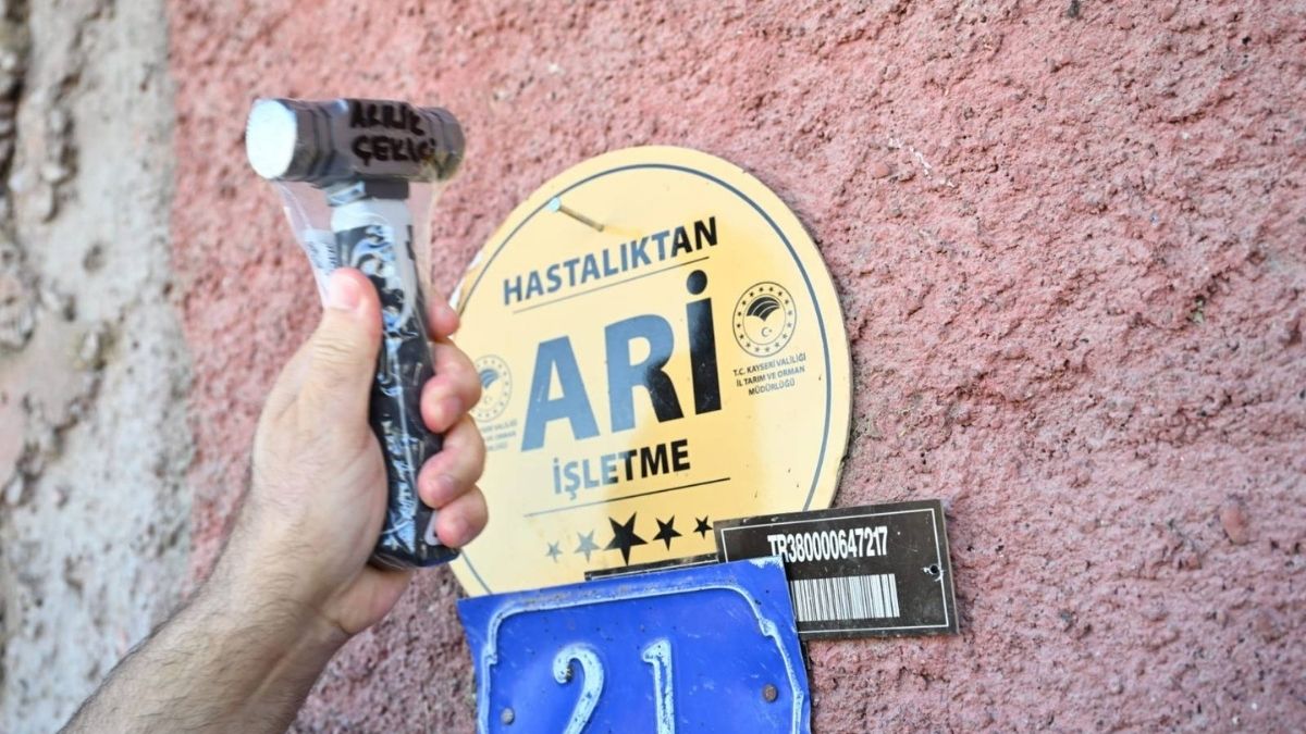 Hastalıktan Ari Işletme (2)