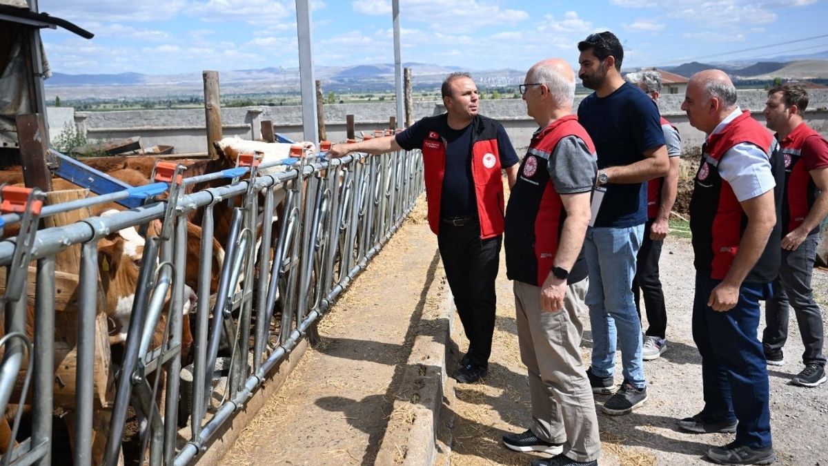 Hastalıktan Ari Işletme (3)