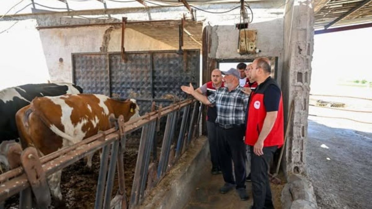Hastalıktan Ari Işletme (4)