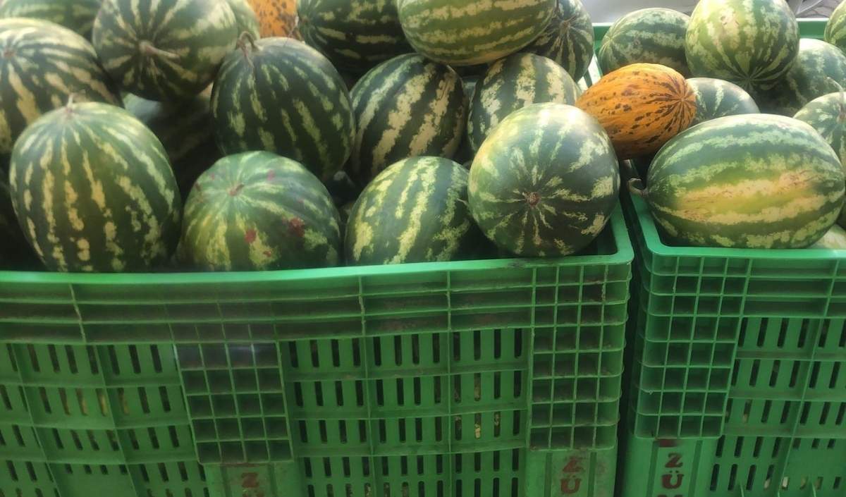 Karpuz Kesildi, Blender Çalıştı İşte Yazın Favori Tarifleri