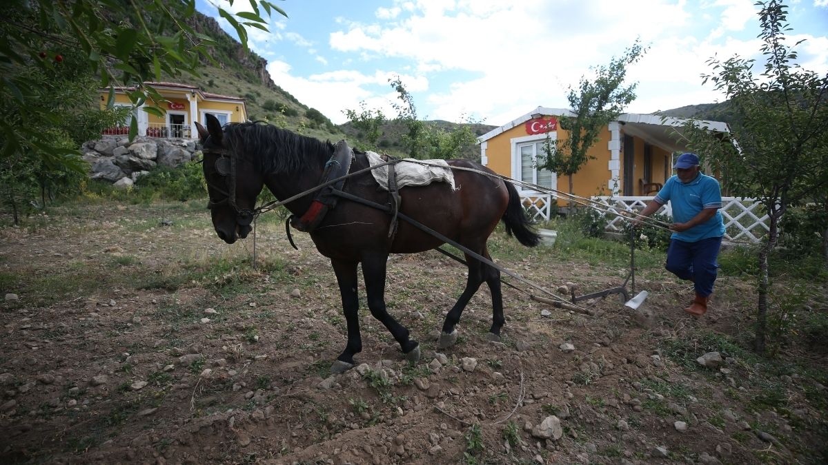 Kayseri Erciyes Te (1)