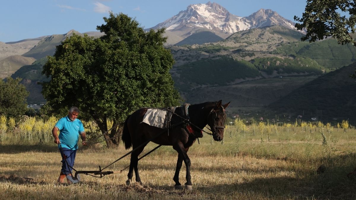 Kayseri Erciyes Te (6)