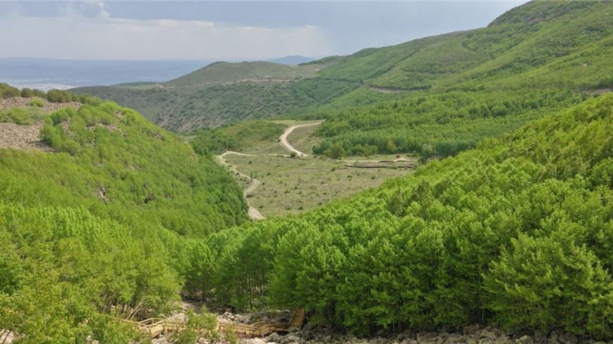 Kayseri Orman Yangınları (2)