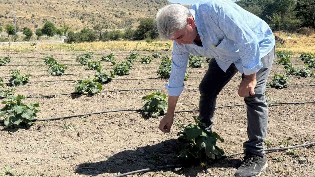 Kayseri Su Krizi (4)