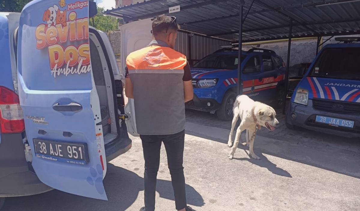 Kayseri’de Köpeği Bağlayarak Aracını Çektirdi! Sürücüye 10 Bin Tl Ceza