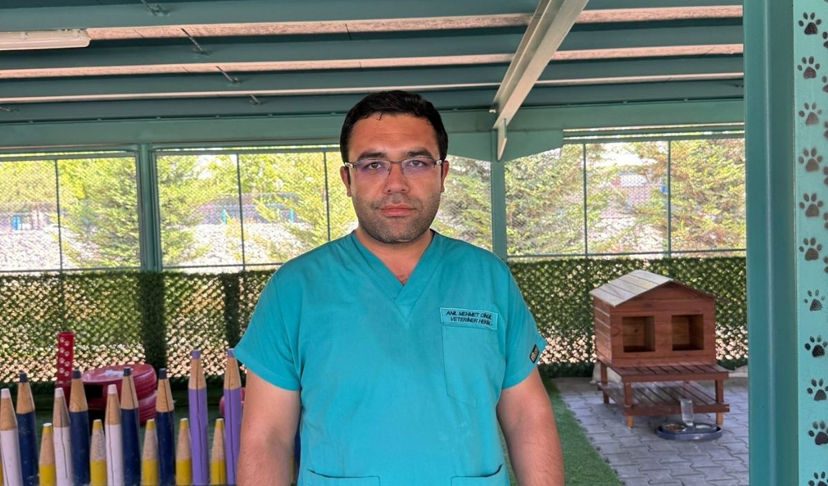 Kayseri'deki Kedi Kasabasında Yaz Tatili Coşkusu! (1)