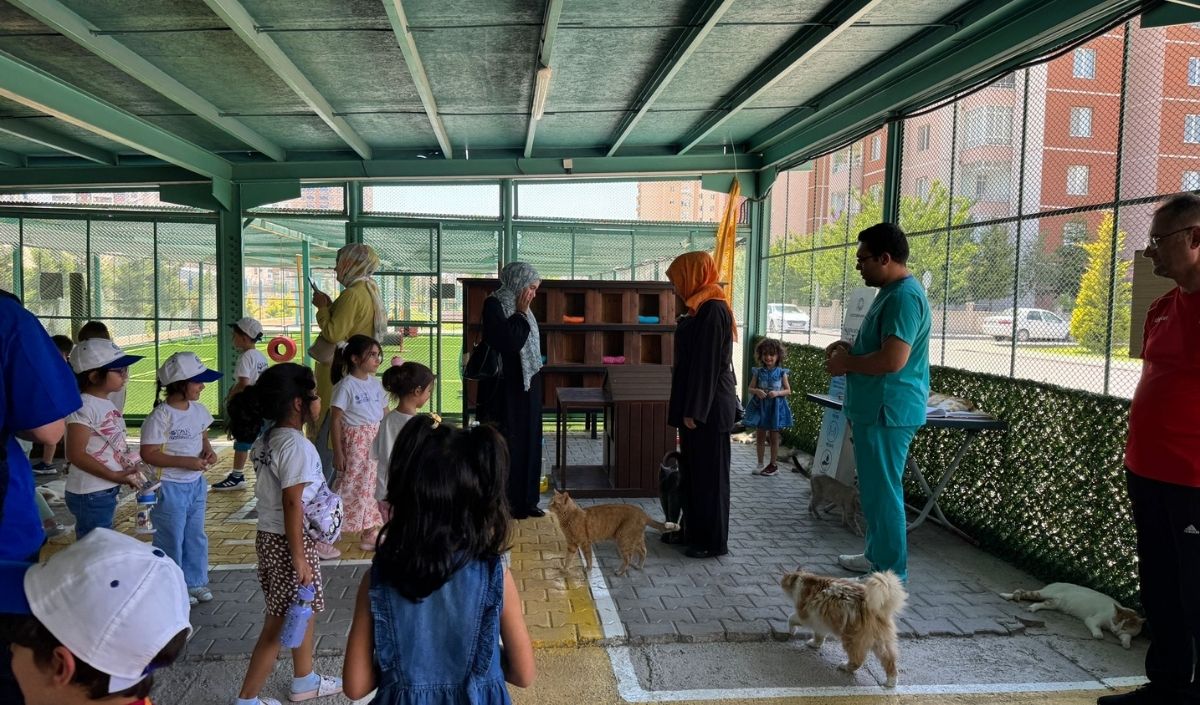 Kayseri'deki Kedi Kasabasında Yaz Tatili Coşkusu! (2)