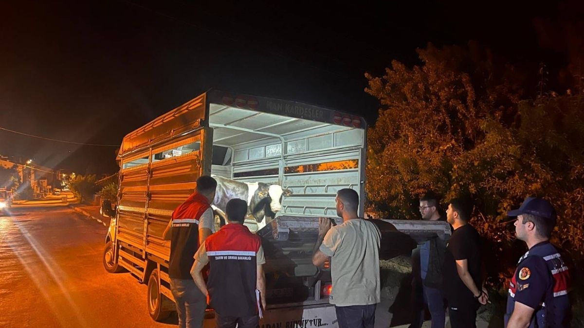 Kayseri'ye Hayvan Getirirken Yakalandı! Tedbirlere Uymayan Şahsa Rekor Para Cezası (1)