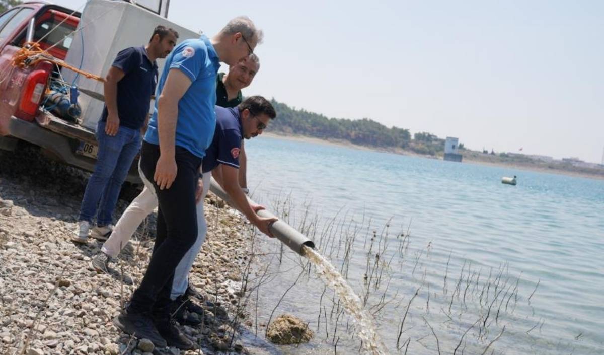 Milyonlarca Yavru Sazan, Aralarında Kayseri’nin De Bulunduğu 12 Ildeki Göl Ve Göletlere Bırakıldı. (1)