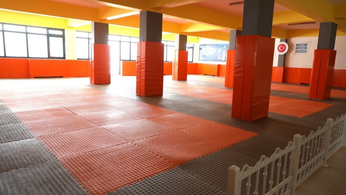 Mimarsinan Erva (1)