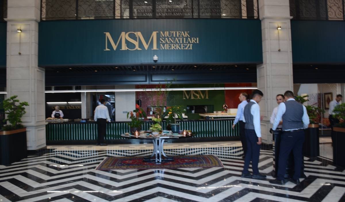 Msm (3)