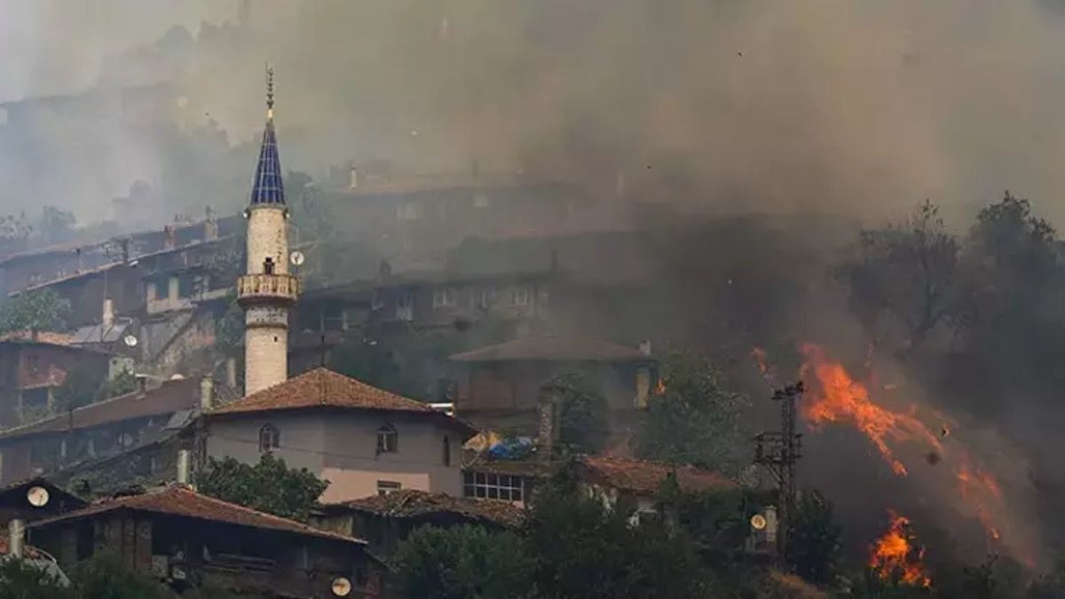 Orman Yangını (2)
