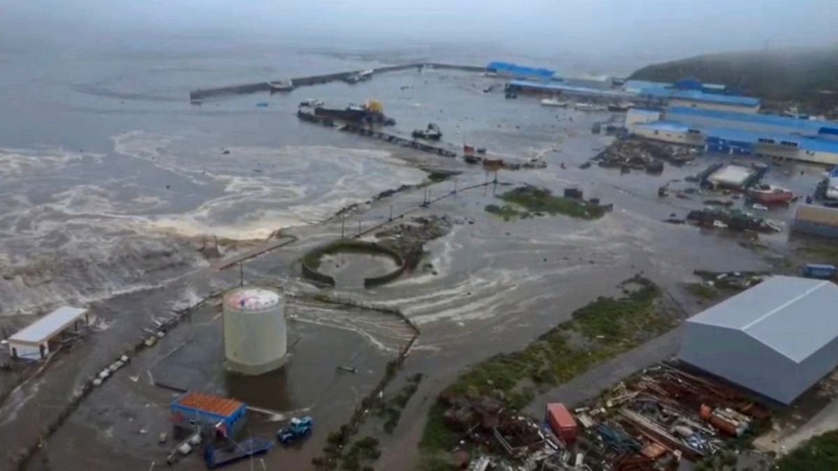 Rusya Deprem, Japonya Tsunami (2)