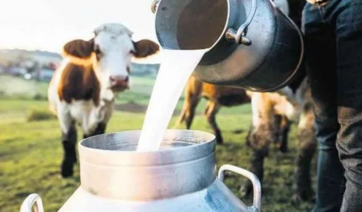 Süt Üreticileri Alarmda! (4)