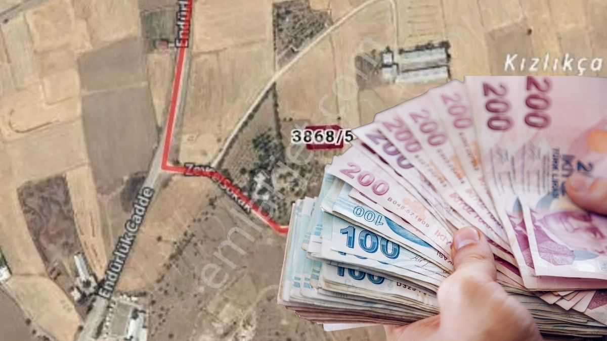 Talas Arsa Satış (5)
