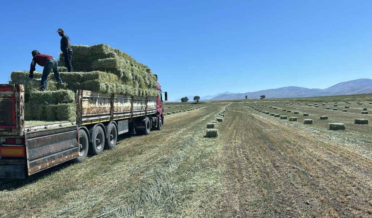 Talas Ot Desteği (3)