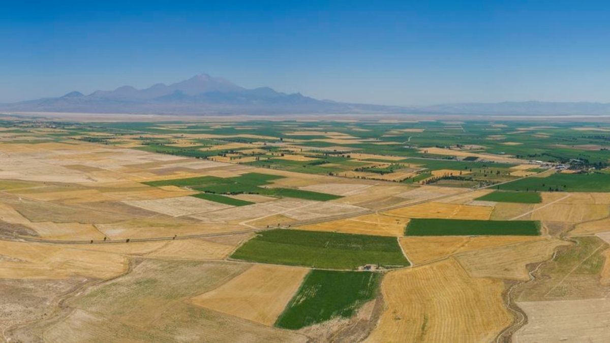 Tarım Kayseri (1)