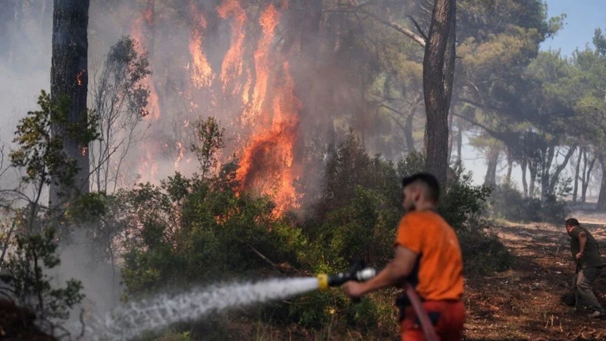 Türkiye Orman Yangınları (4)