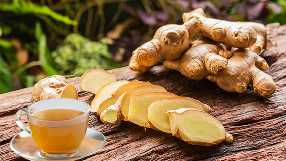 Zencefil çayı
İltihap önleme özelliği nedeniyle tercih edilen zencefil çayı vücuttaki ürik asit seviyesini azaltmaya da yardımcı olur. Zencefil içerdiği polifenoller ve flavonoidler nedeniyle yüksek ürik asit nedeniyle ortaya çıkan iltihaplanmayı engelleyen anti-inflamatuar etkiye sahiptir. Zencefil çayını düzenli tüketmek şişlik, yüksek ürik asite bağlı iltihaplanmayı önleyici etkiye sahiptir. Kaynamaya başlayan suyun içine taze zencefili rendeleyerek kaynatmaya devam edin. Kaynattıktan sonra süzün ve içimi yumuşatmak için limon sıkın ve ya bal ekleyin.