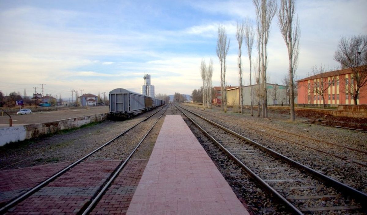 Duygu (52)