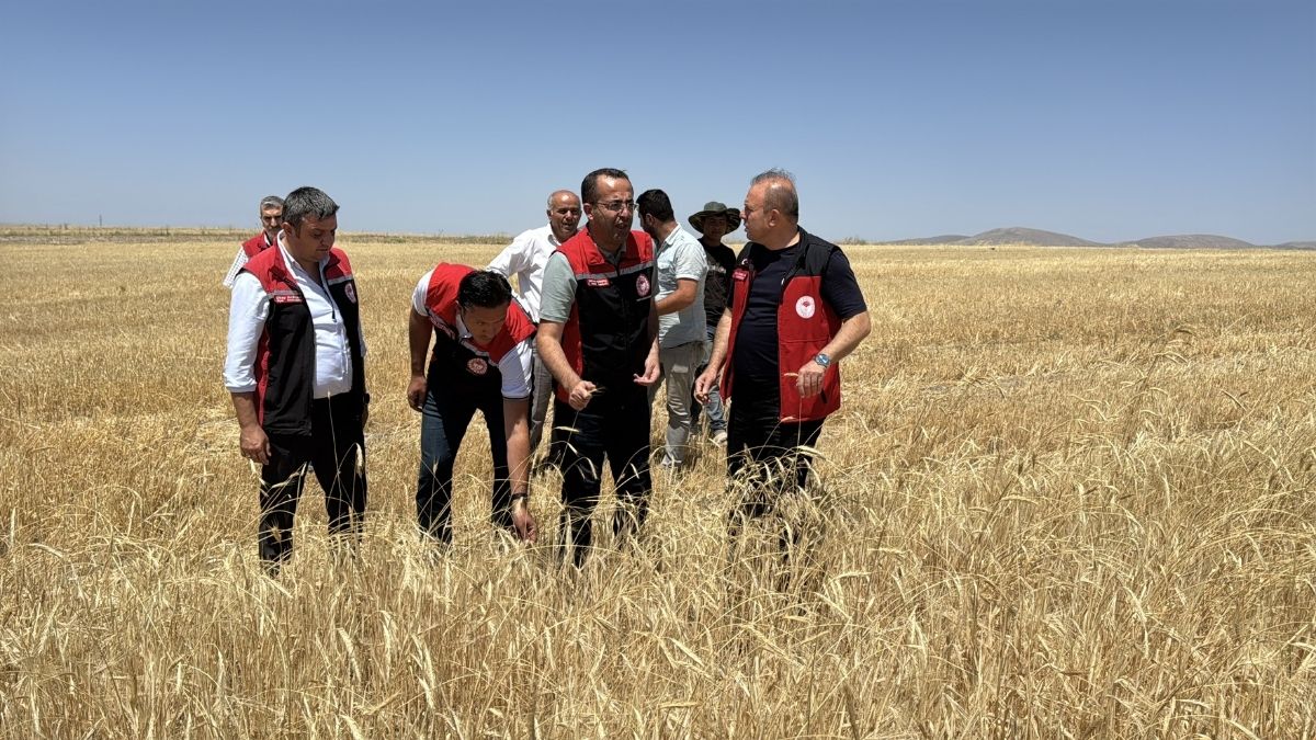 Tarım Destek (4)