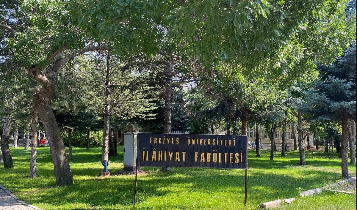 çam ormanı