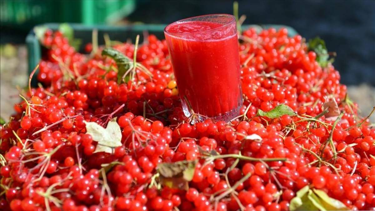 Ak Partili Cıngı’nın Kola Paylaşımına Çiçek’ten Gilaburulu Yanıt (2)