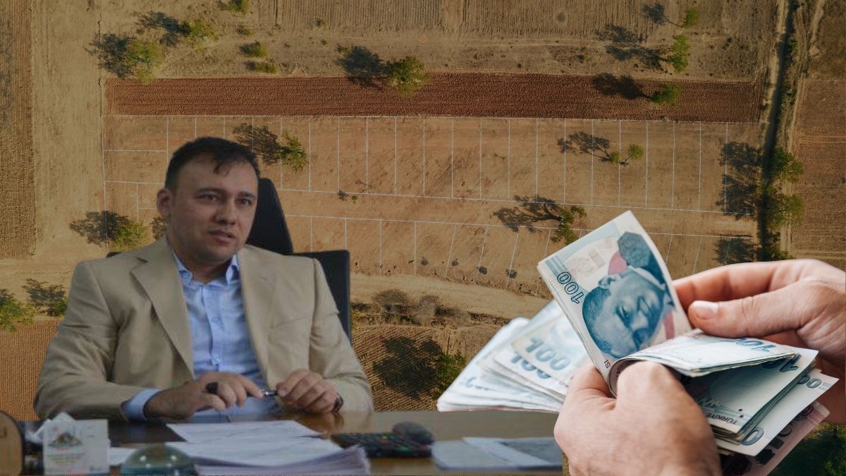 Ali Aykut Tengerli (5)