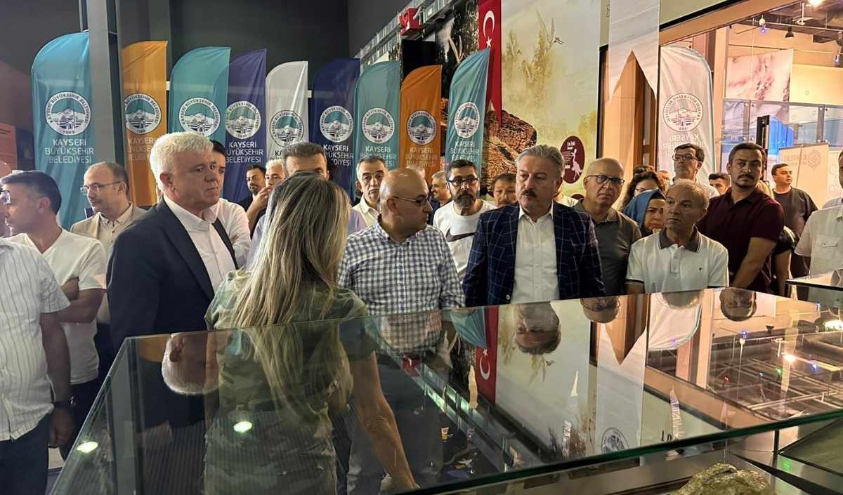 fosil