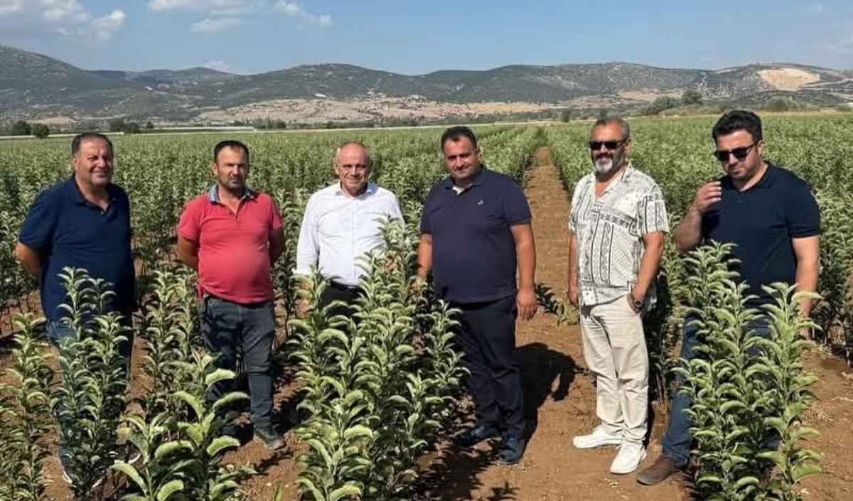yahyalı