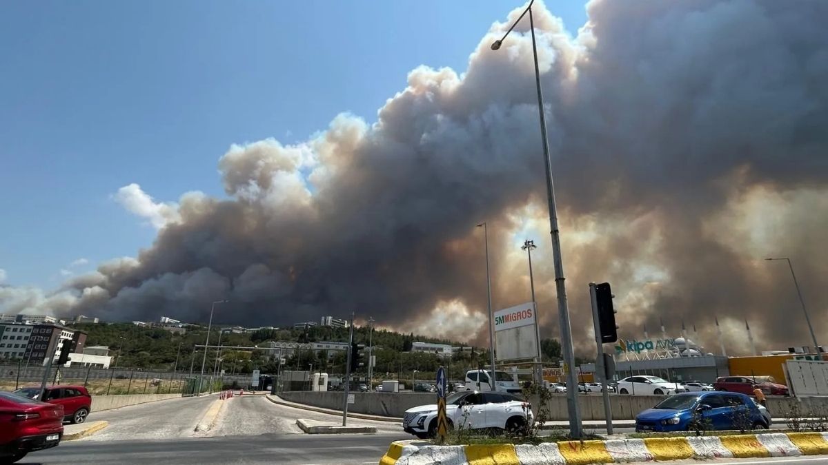 Çanakkale Orman Yangını (1)