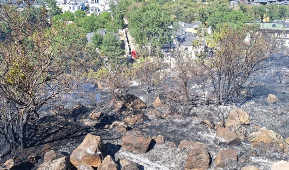 Çay Bağları Mevkiinde Çıkan Yangın (4)