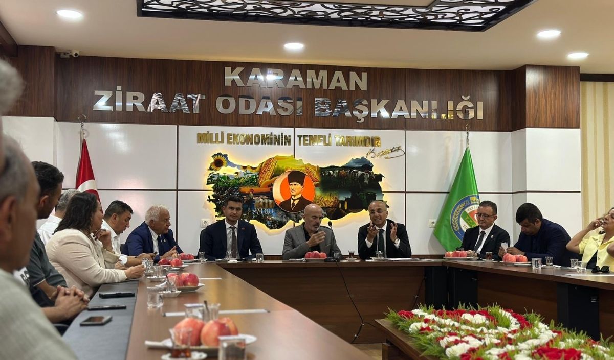 Chp Kayseri Milletvekili Aşkın Genç (2)