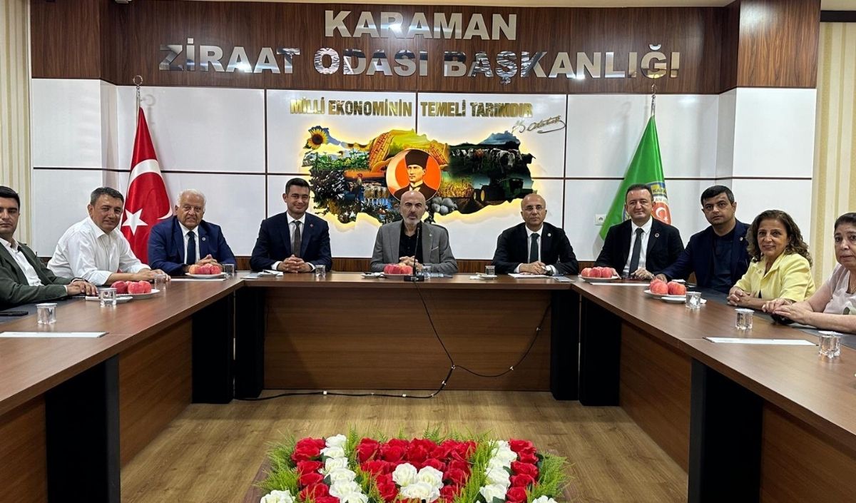 Chp Kayseri Milletvekili Aşkın Genç (4)