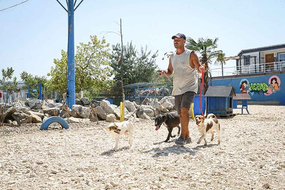 Emekli Hayvanlar Çiftliği (1)