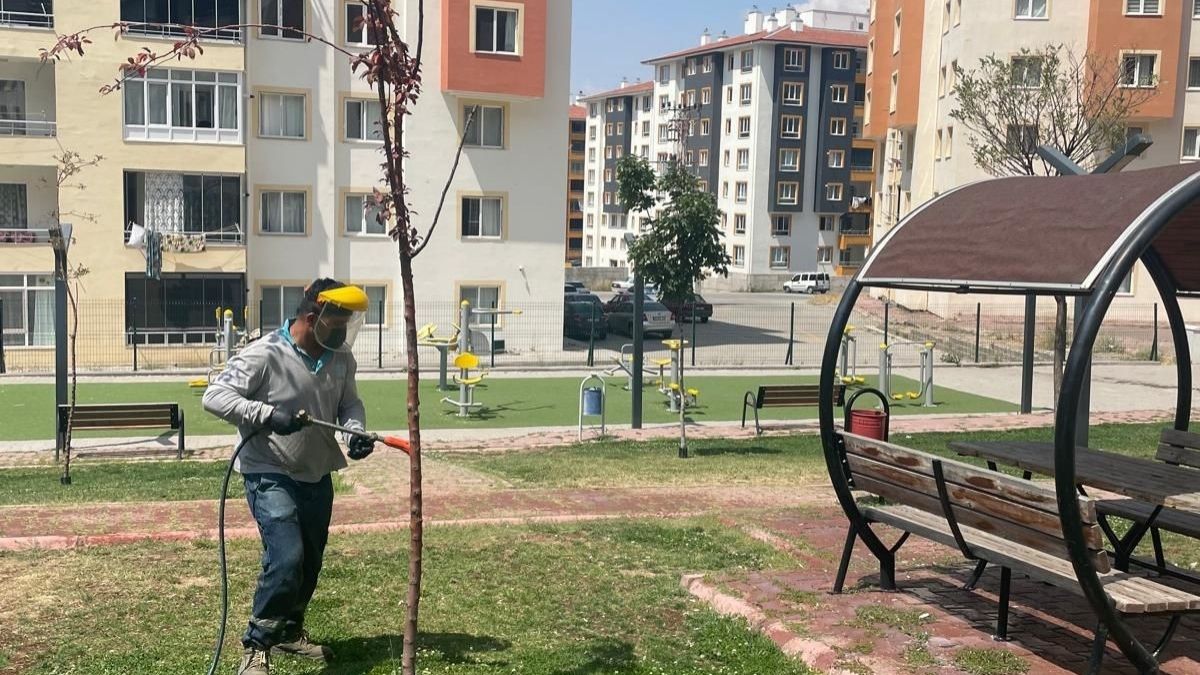 Hacılar Belediyesi Haşerelere Savaş Açtı! (3)