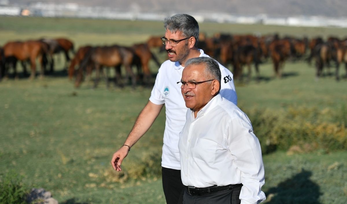 Hürmetçi Sazlığı (2)