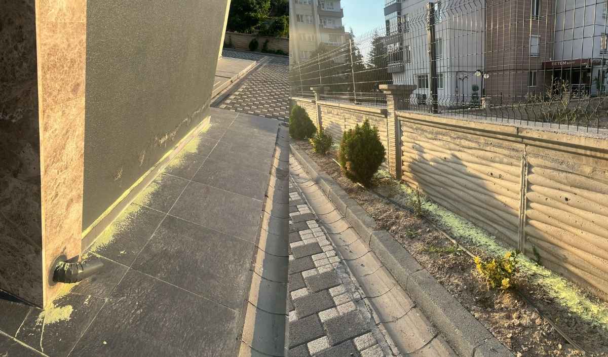 Kayseride Böcek Sorunu (1)
