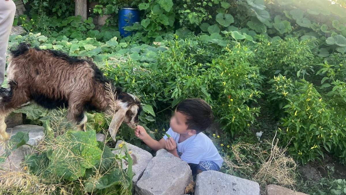 Kayseri’de Böyle Bahçe Görülmedi! (4)
