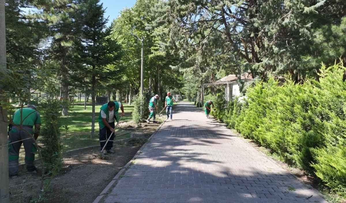 Kocasinan Belediyesi Park (3)