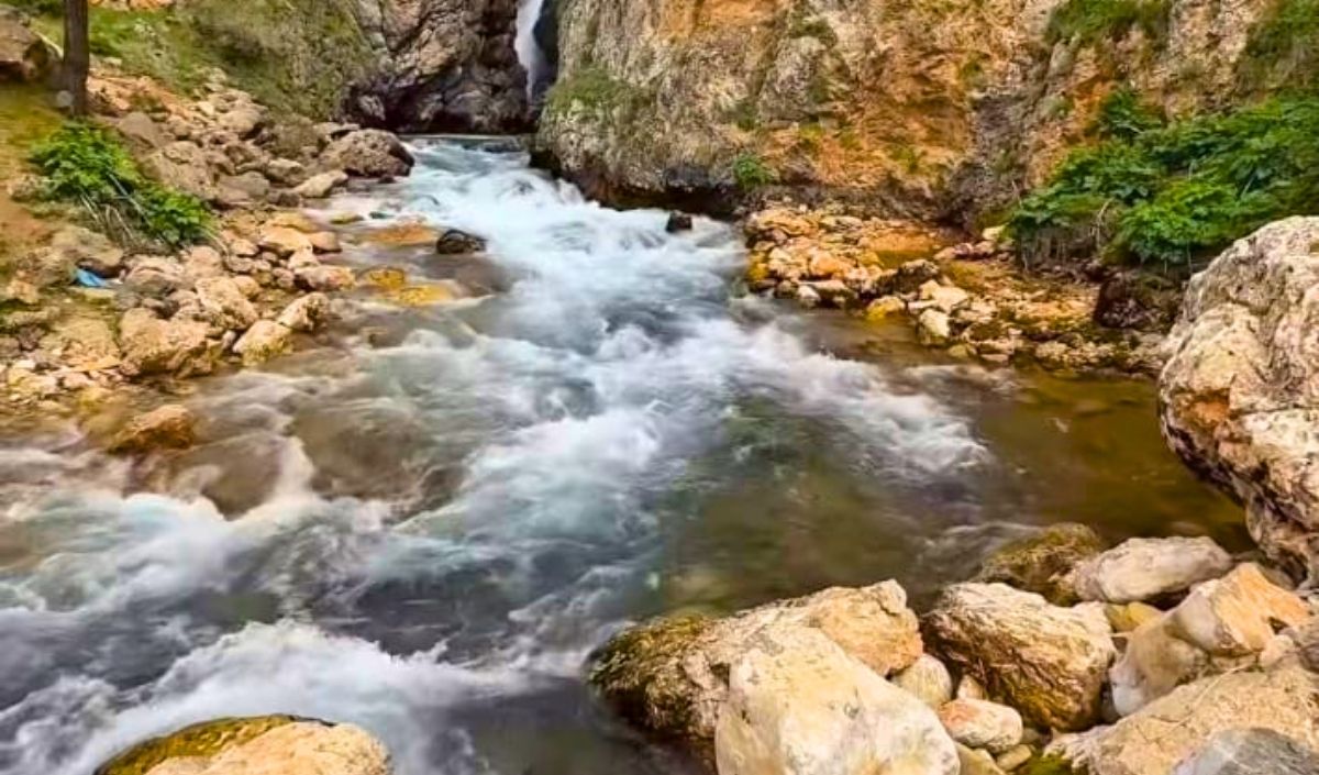 şelale