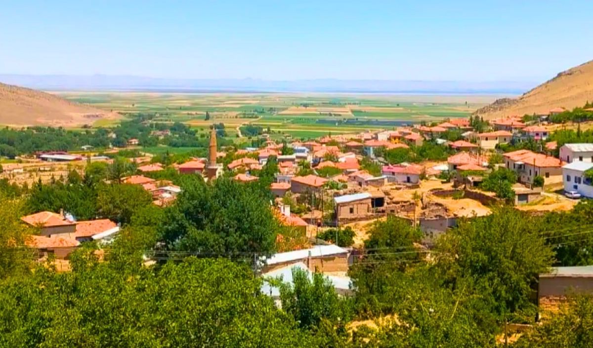 zile