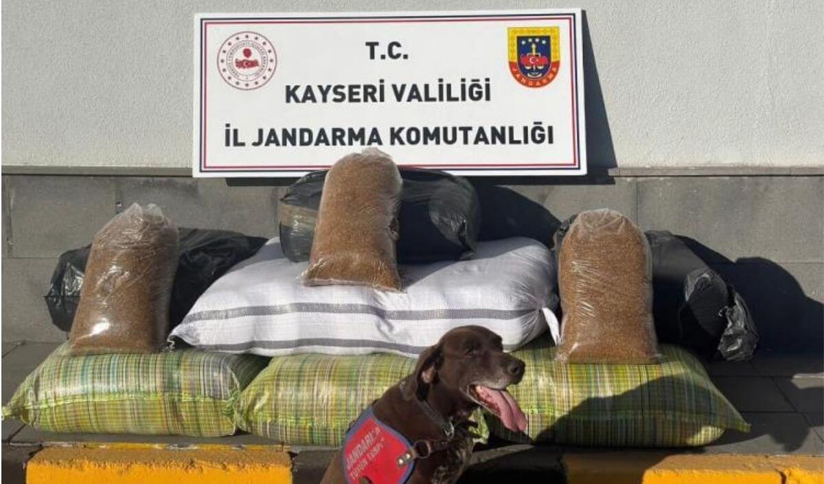 kaçak tütün