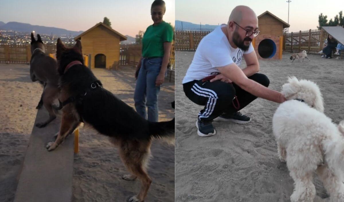 köpek parkuru