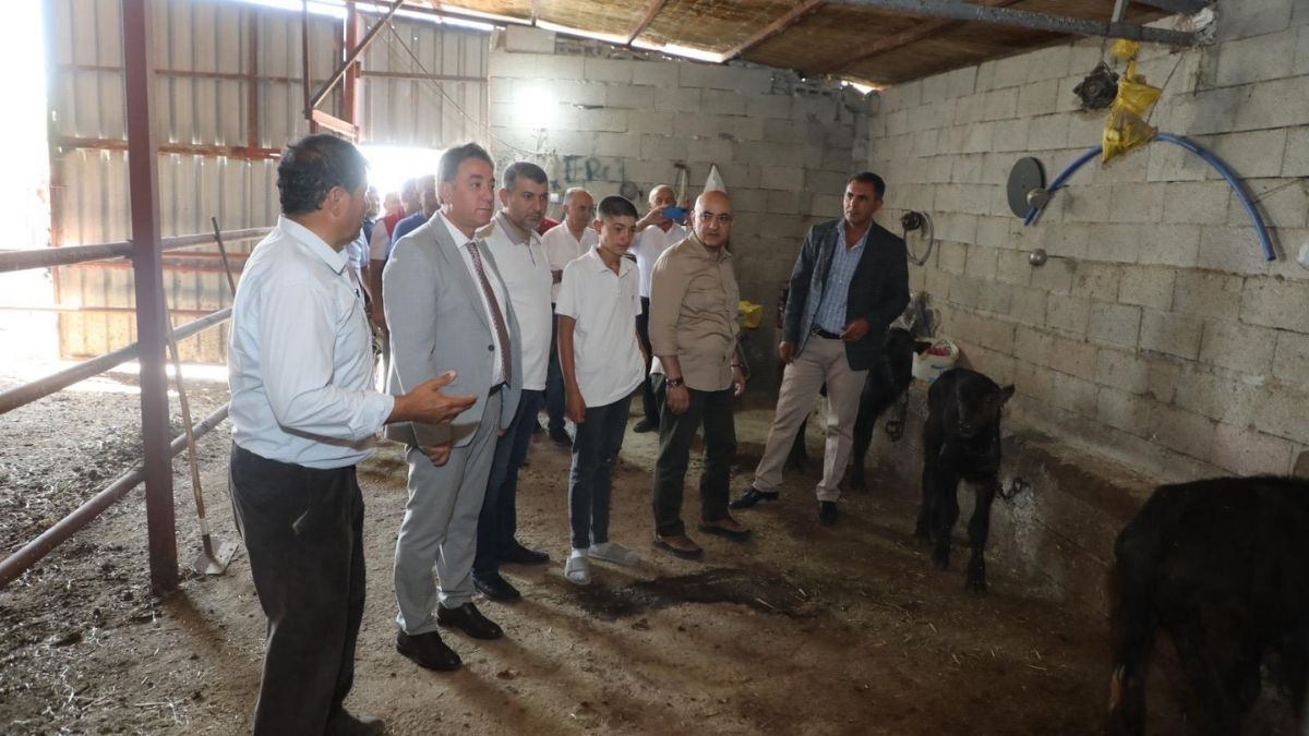 Mandacılık Murat Cahi Dcıngı (2)