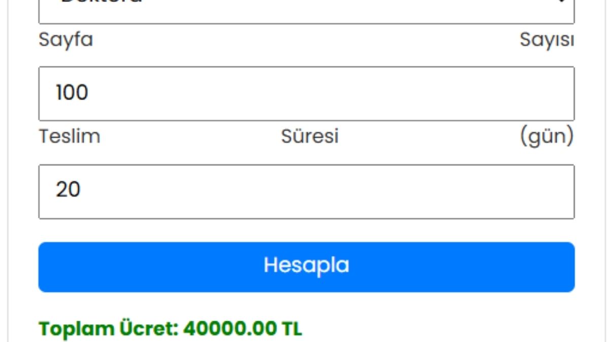 Sahte Tez (4)
