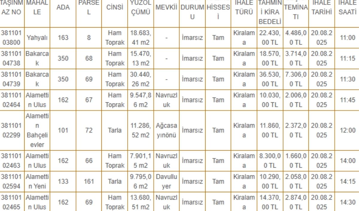 Sarıoplan Taşınmaz (3)