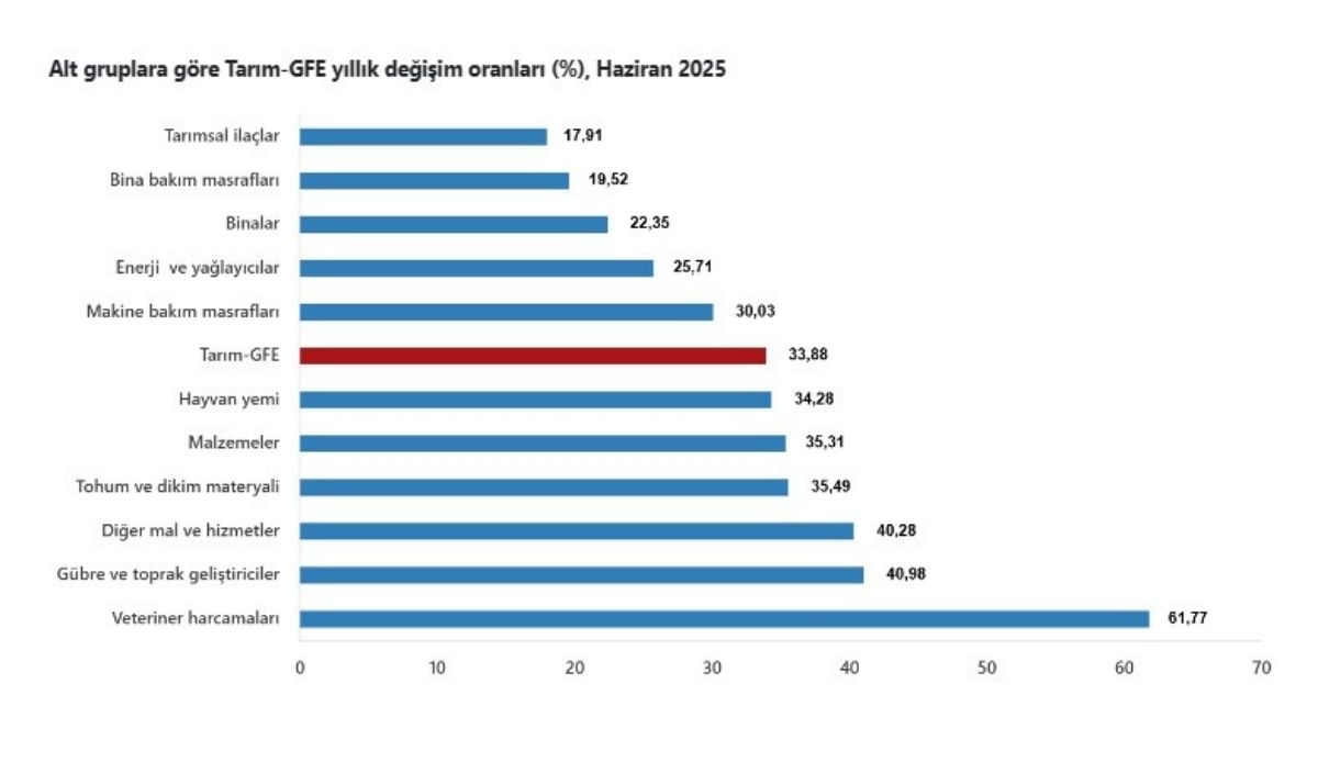 Tarımsal Girdi Fiyat Endeksi, (1)