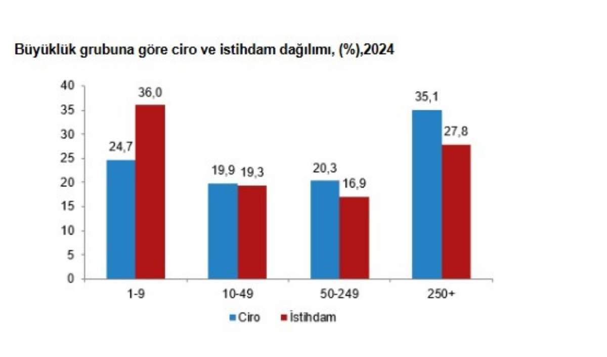 Tüik Verileri (2)