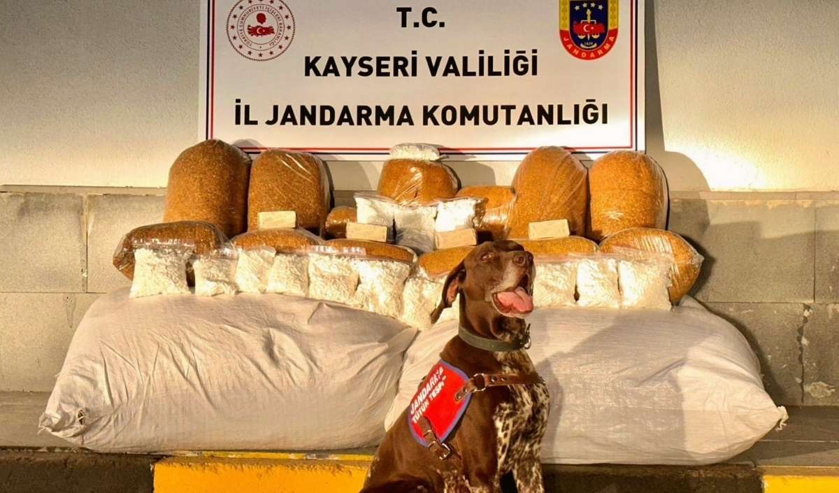 Uyuşturucu Operasyonu (2)